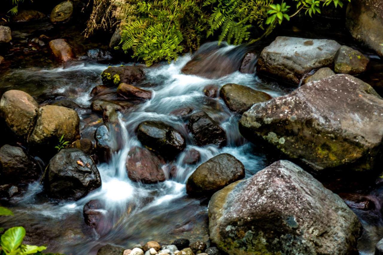 Recidencia Del Hamor Sorsogon Esterno foto